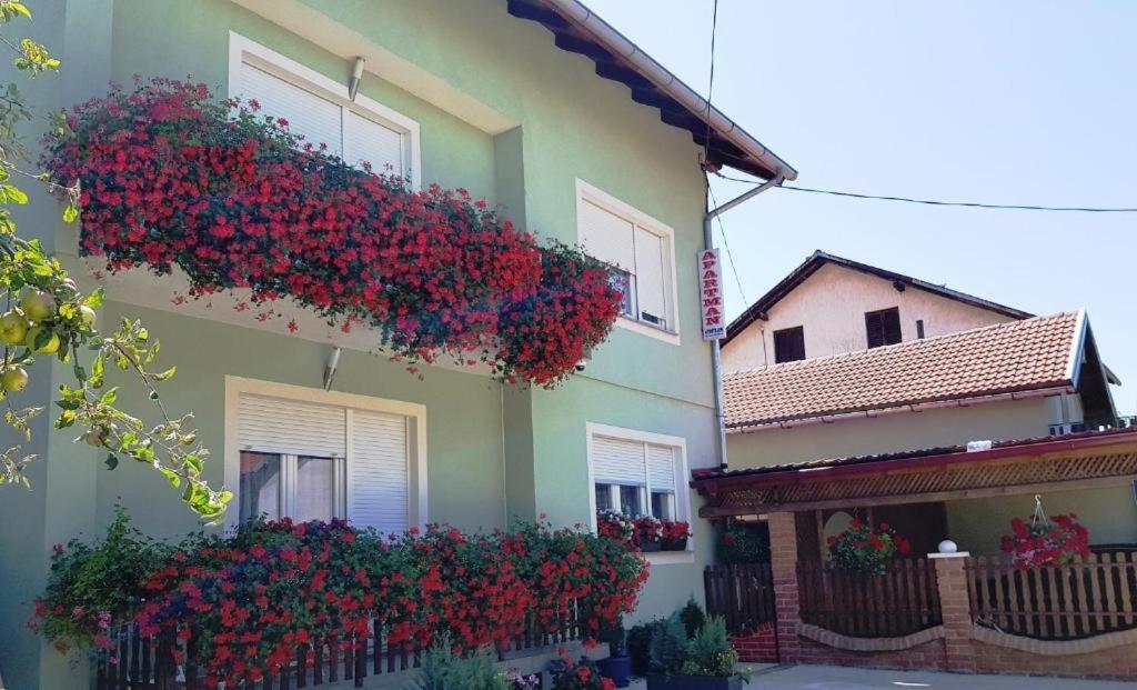Ana Apartment Gračac Екстериор снимка
