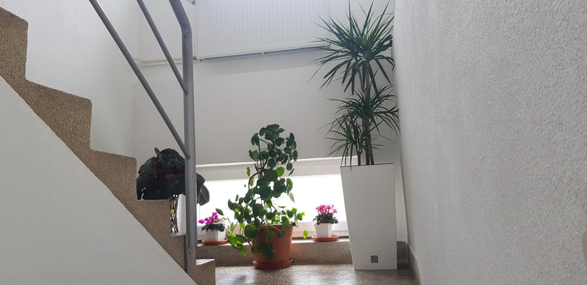 Ana Apartment Gračac Екстериор снимка